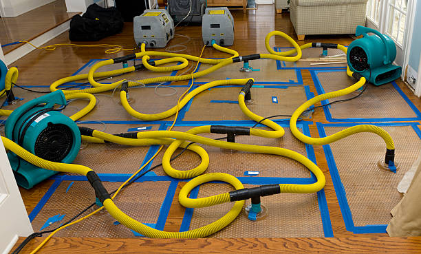 Professional Structural Drying And Dehumidification technician working in Frankston, TX